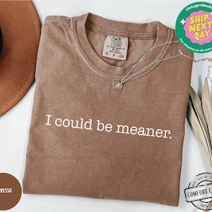 May include: Espresso-colored Comfort Colors t-shirt with the phrase "I could be meaner" in white. A silver necklace with a pendant is on the shirt. The shirt is on a white surface with a brown hat and dried plants.