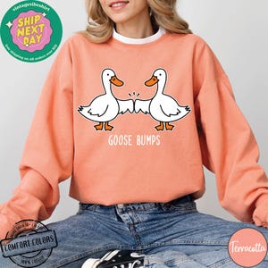 May include: A terracotta orange sweatshirt with a graphic of two cartoon geese bumping fists. The text "Goose Bumps" is printed below the geese.