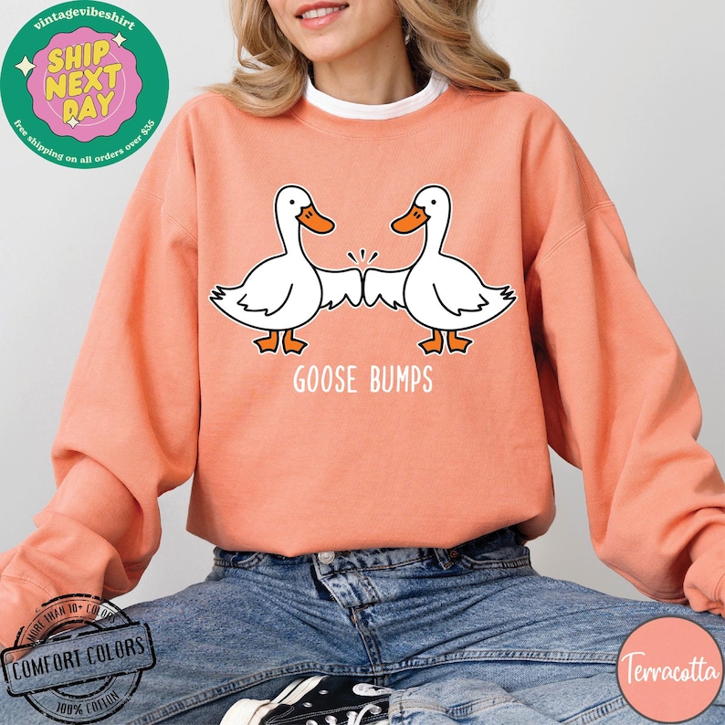 May include: A terracotta orange sweatshirt with a graphic of two cartoon geese bumping fists. The text "Goose Bumps" is printed below the geese.