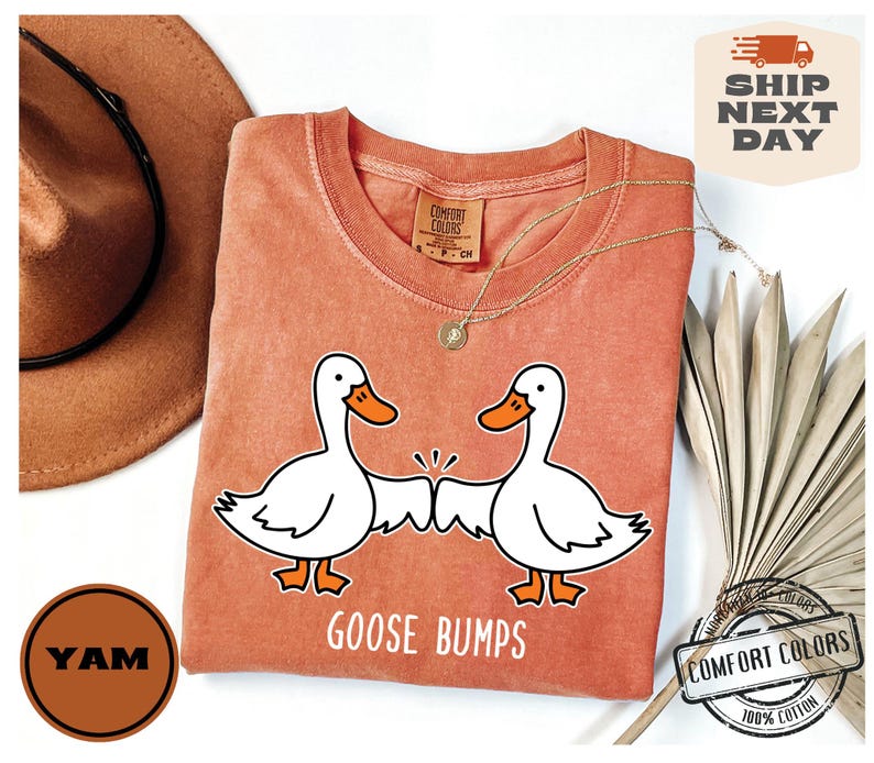 May include: A coral-colored t-shirt with a graphic of two cartoon geese bumping fists. The text "Goose Bumps" is printed below the geese. The shirt is made of 100% cotton.