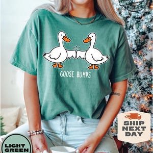 May include: A light green t-shirt with a graphic of two cartoon geese giving each other a high five. The text "Goose Bumps" is printed below the geese.