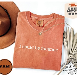 May include: A coral-colored Comfort Colors t-shirt with the phrase "I could be meaner" in white lettering. A gold necklace and a brown hat are next to the shirt. A YAM logo and a "Ship Next Day" graphic are also visible.
