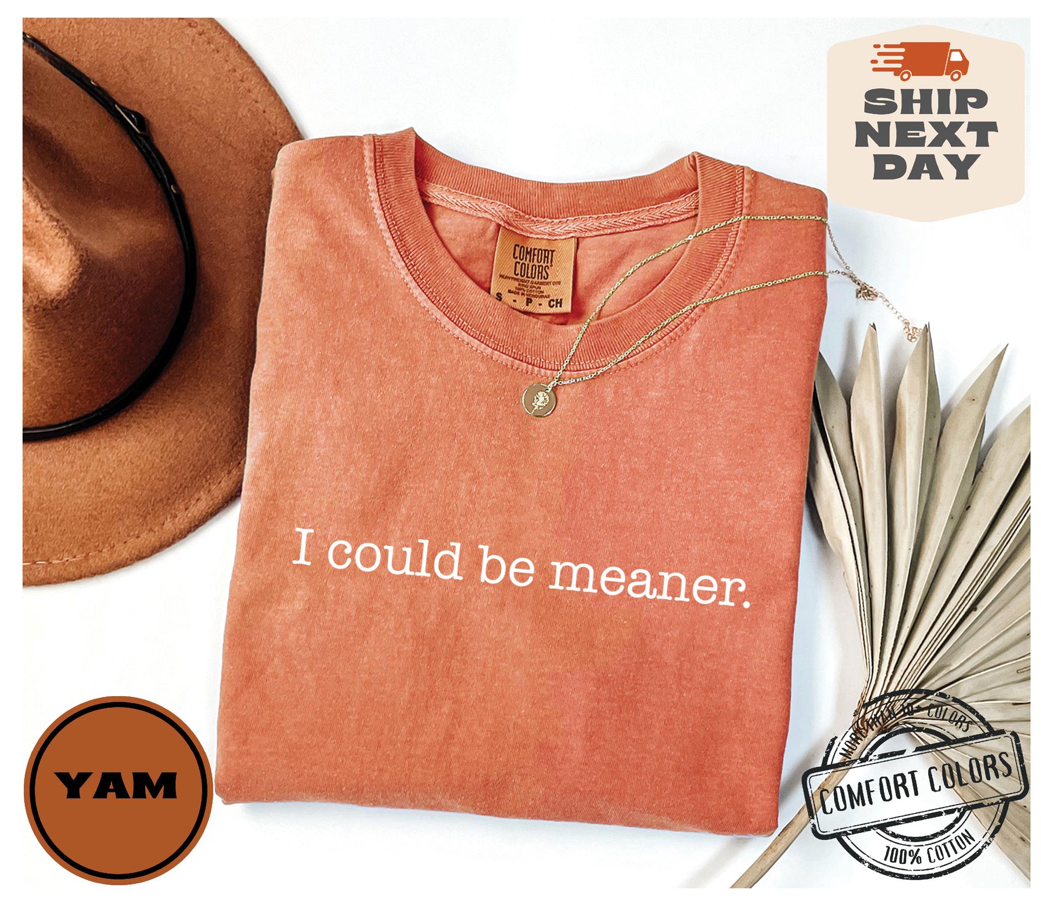 I Could Be Meaner Shirt Comfort Colors®, Sarcastic Sweatshirt, Funny Quote Crewneck, Funny Humor Shirt, Trendy Shirt For Woman, Sarcasm Tees