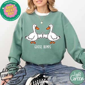 May include: A light green sweatshirt with a graphic of two cartoon geese with the text "Goose Bumps" printed below. The sweatshirt is made of 100% cotton and is available in a variety of colors.