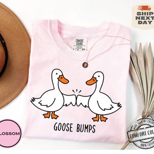 May include: Pink t-shirt with a graphic of two cartoon geese bumping fists. The text "Goose Bumps" is printed below the geese.