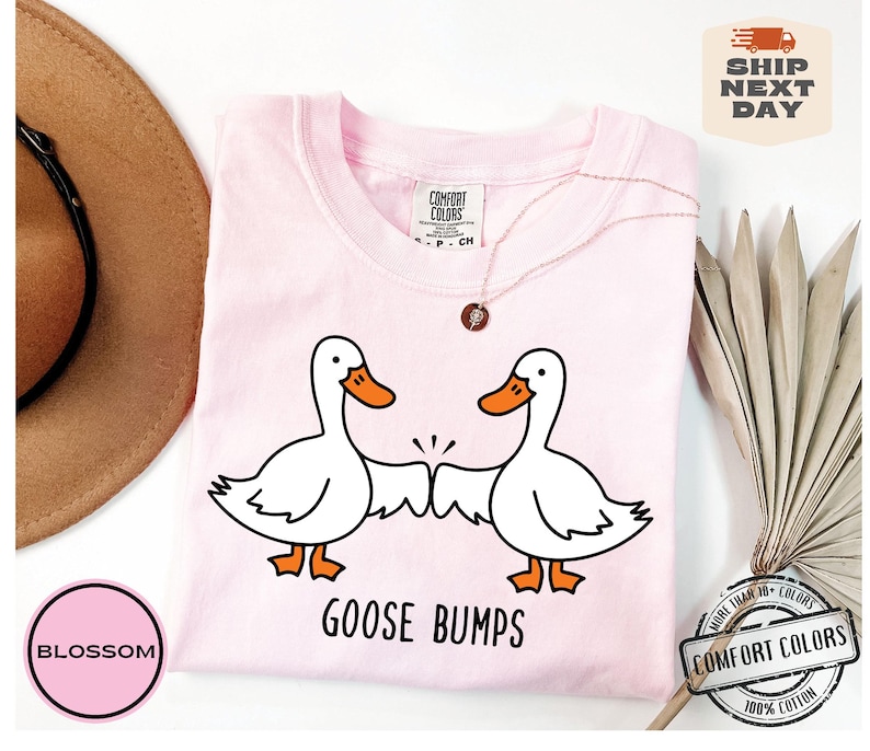 May include: Pink t-shirt with a graphic of two cartoon geese bumping fists. The text "Goose Bumps" is printed below the geese.