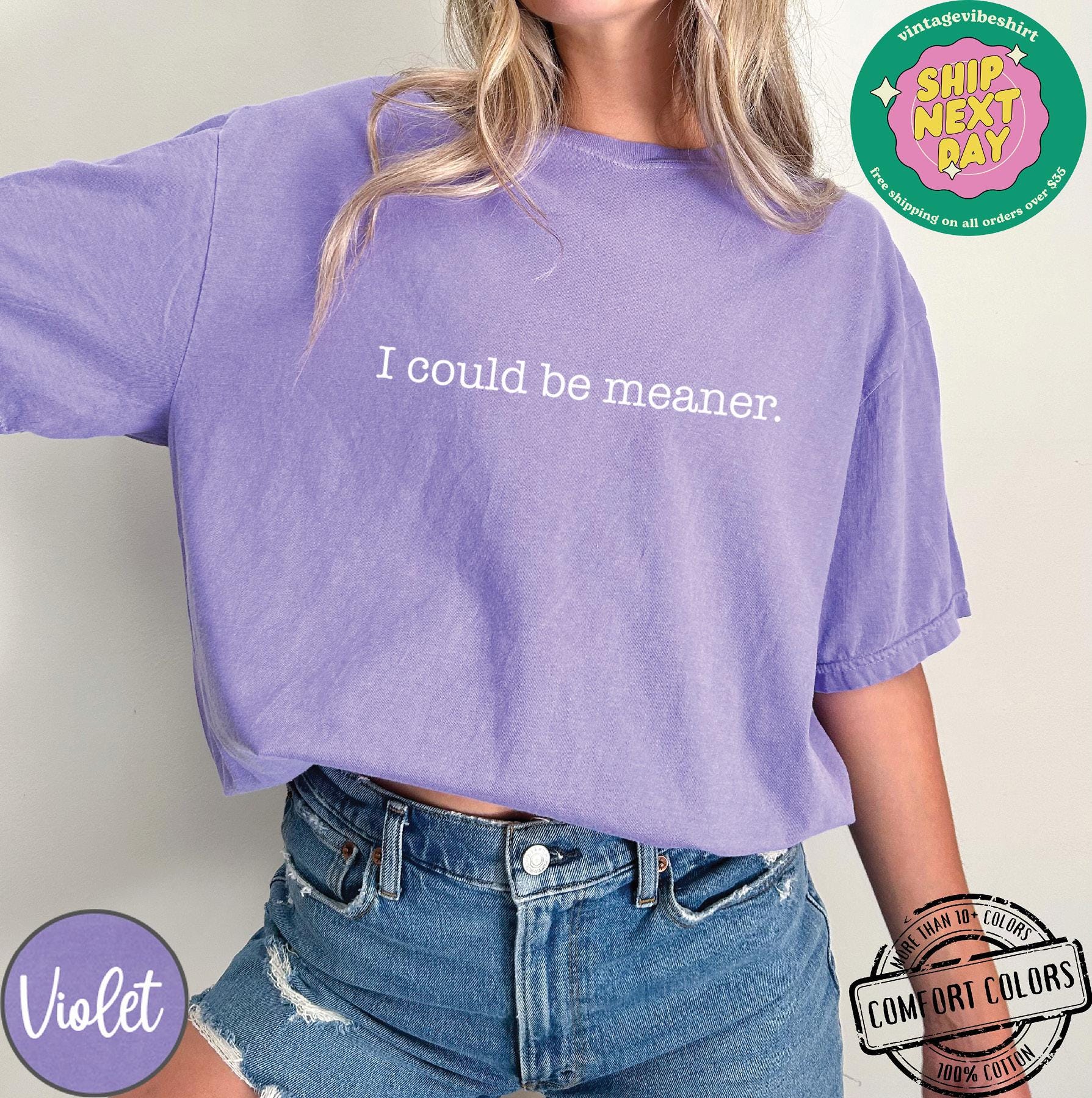 I Could Be Meaner Shirt Comfort Colors®, Sarcastic Sweatshirt, Funny Quote Crewneck, Funny Humor Shirt, Trendy Shirt For Woman, Sarcasm Tees