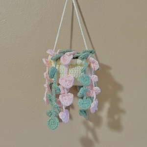 May include: A crocheted hanging planter with a white pot and green and pink leaves. The planter is hanging from a white cord.