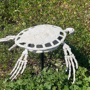 Könnte beinhalten: Eine weiße, skelettartige Schildkrötenskulptur mit strukturiertem Panzer und gegliederten Gliedmaßen. Die Skulptur steht vor einem Hintergrund aus grünem Laub, was einen Kontrast erzeugt.