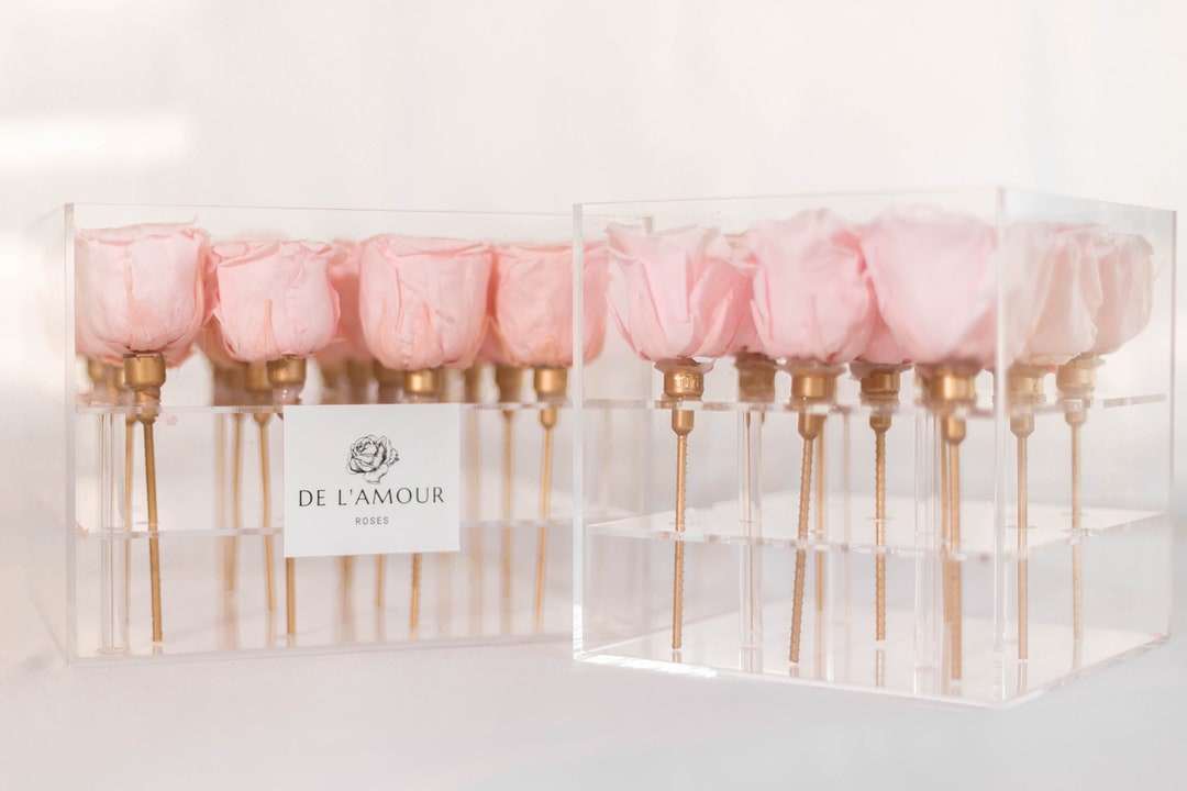 9 Rose Acrylic Box Pink Forever Roses Etsy