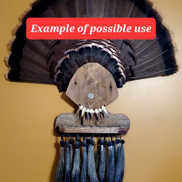 Turkey Fan Mount Etsy
