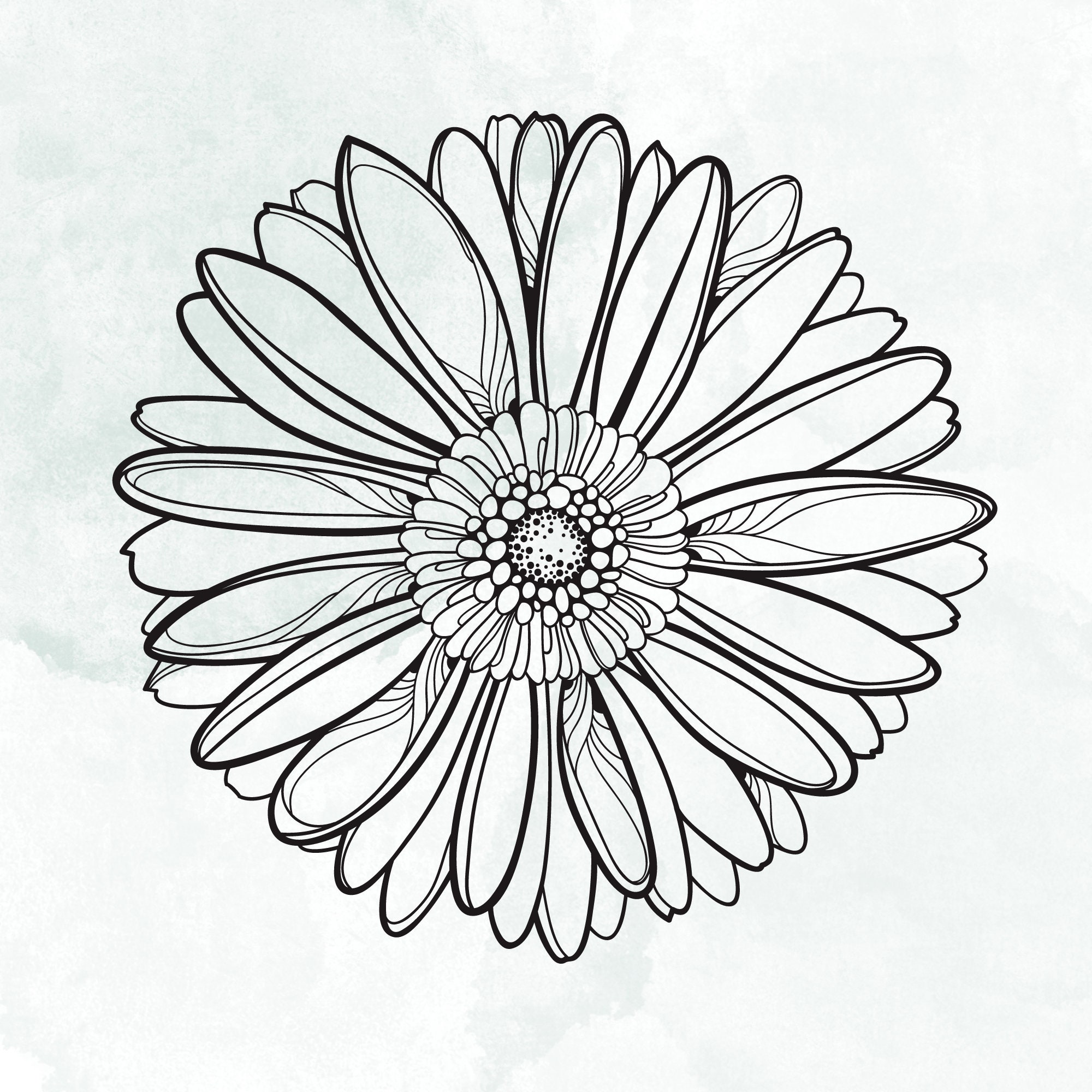 Gerbera Daisy SVG Digital Download Daisy Svg Gerbera Png Etsy