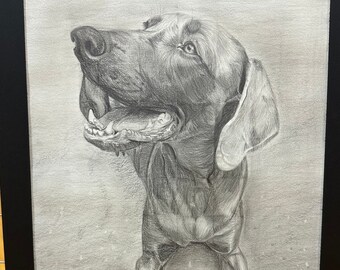 Custom Graphite Pet Portrait