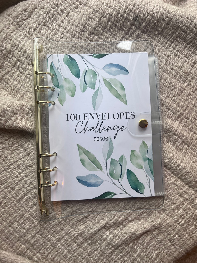 100 Envelopes Challenge 100 Umschläge Challenge 5050 Euro Budgeting Sparchallenges A5 Binder Budgetplaner Durchsichtig Rosegold Silber Gold Bild 4