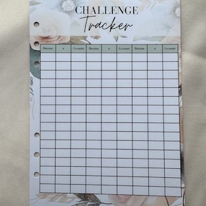 52 Wochen Challenge 52 Umschläge Challenge 1378 Euro Budgeting Sparchallenges A5 Binder Budgetplaner Durchsichtig Rosegold Silber Gold Bild 6