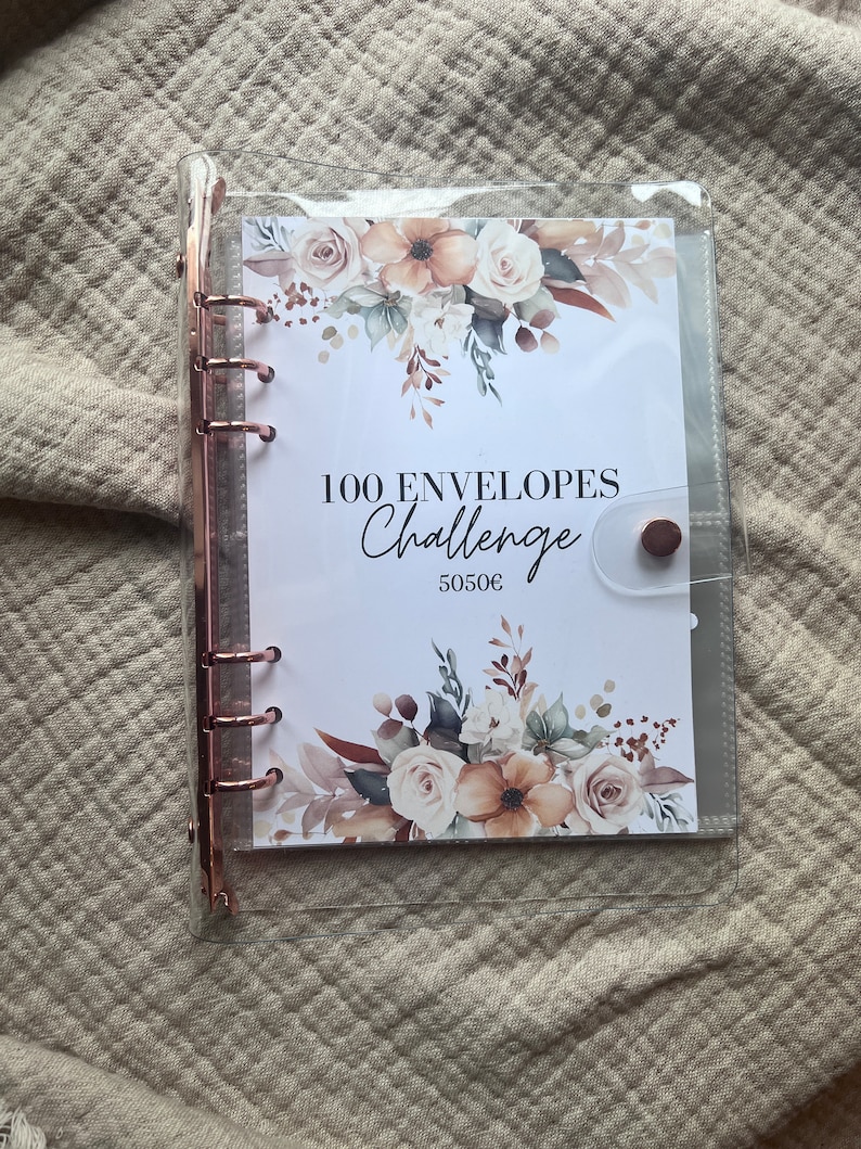 100 Envelopes Challenge 100 Envelopes Challenge 5050 Euro Budgeting Sparchallenges A5 Binder Budget Planner Transparent Rose Gold Silver Gold image 8