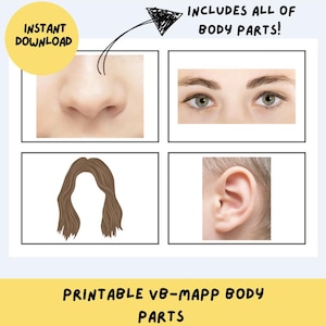 VB-MAPP Printable Body Parts Flashcards