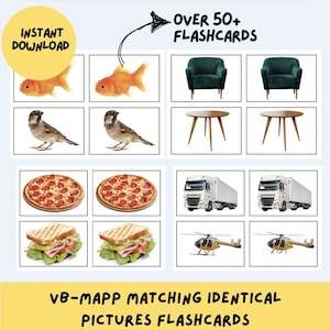 VB-MAPP Matching Identical Pictures Flashcards
