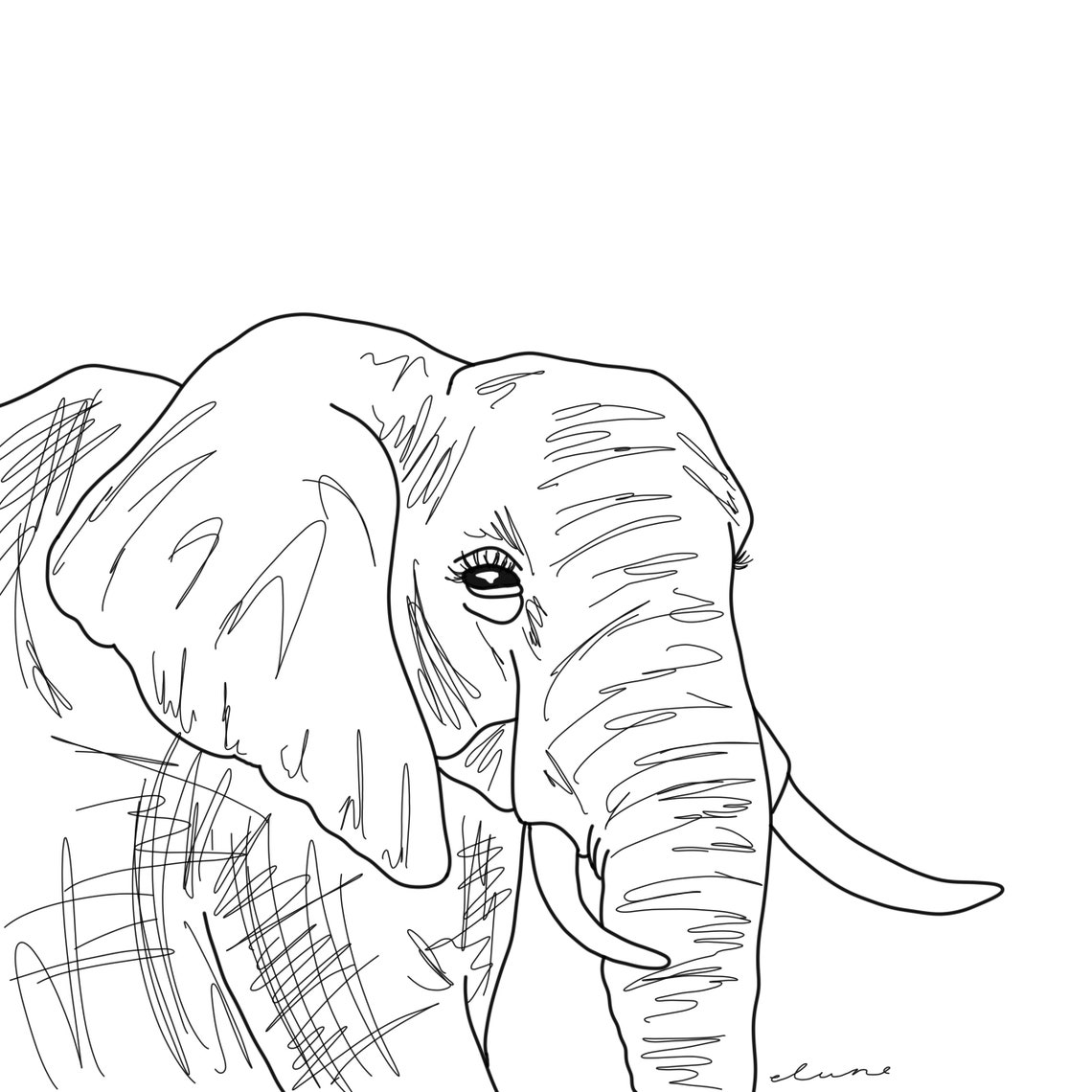 Animal Digital Coloring Book Pages Set of Four Etsy