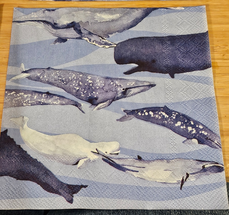 TransferTreasurebyMe Whales Luncheon Napkins - Thumbnail 3