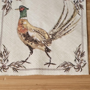 May include: A white paper napkin with a brown border and a detailed illustration of a pheasant with a long tail. The pheasant is brown, green, and orange with a white background.