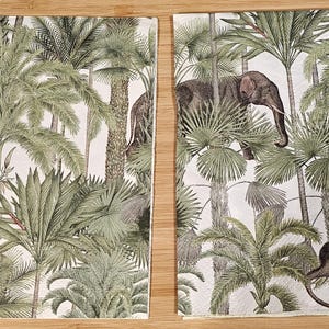 Elephant Safari