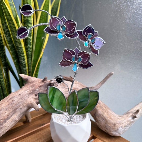 Stained glass Orchid Reach Elderberry with pot, 3 flowers,  Suncatcher  3D, plant, Wedding Christmas Gift  Outdoor and gardening dec