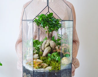 Geometric glass terrarium, Florarium ” Greenhouse” Tiffany technique. Glass art, Home decor Christmas gift, for plant lovers Wedding decor
