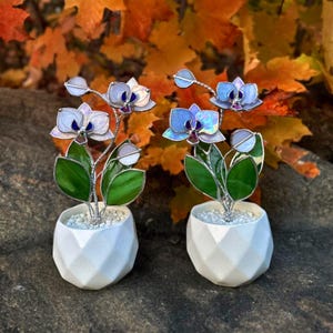May include: Two stained glass orchid plants in white geometric pots. Each plant features iridescent white and blue petals with dark centers, green glass leaves, and silver wire stems. The pots are filled with small white stones at the base.