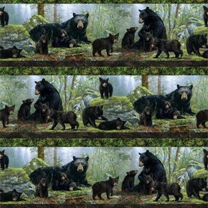 Bears Den Border Stripe DP27621-99 Northcott
