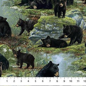 Bear Den DP27622-99 Scenic Northcott