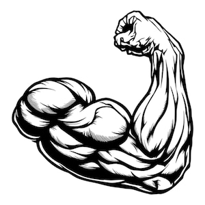 May include: A black and white illustration of a muscular bicep flexing. The bicep is drawn in detail, showing the individual muscles and tendons.