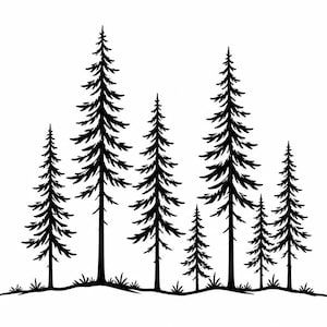 May include: A black and white illustration of several evergreen trees. The trees vary in height and are depicted with detailed branches and needles. The trees are set against a white background, with a small patch of grass at the base.