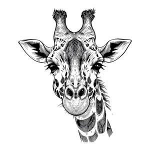 Könnte beinhalten: Schwarz-weiß-Zeichnung eines Giraffenkopfes und -halses. Die Giraffe schaut den Betrachter mit einem neugierigen Ausdruck direkt an.