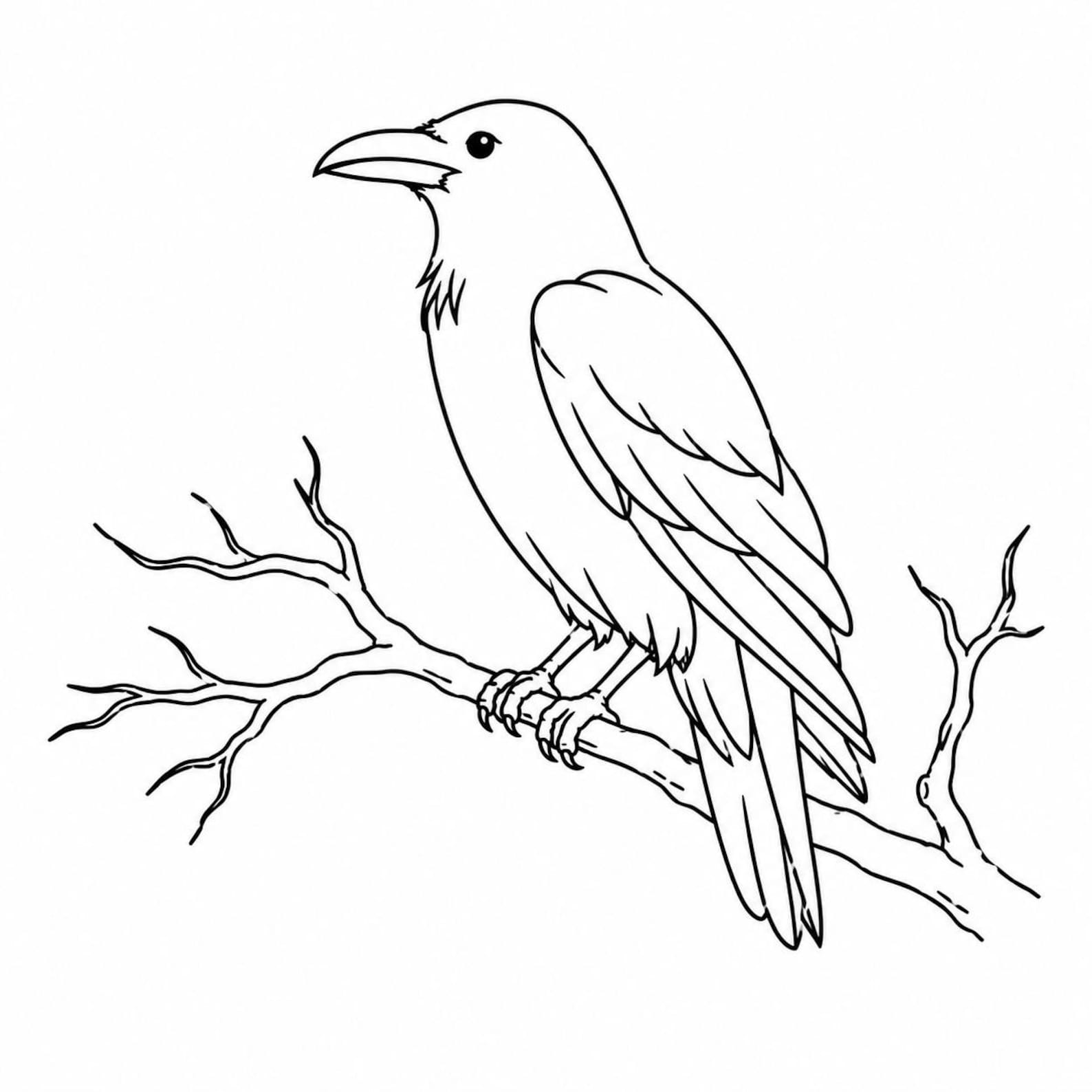 Raven Line Patterns Simple Raven on Branch Line Art SVG / PNG / JPG Burn File, Cut File ...