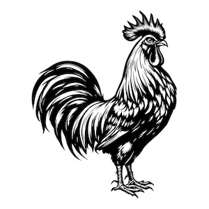 May include: A black and white illustration of a rooster with a large, detailed comb and wattles. The rooster is standing with its tail feathers spread out behind it.
