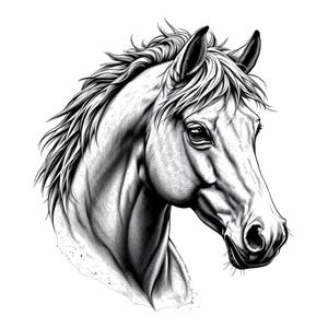Pferdekopf Kunst Porträt SVG / PNG / JPG Clipart - Freie kommerzielle Nutzung