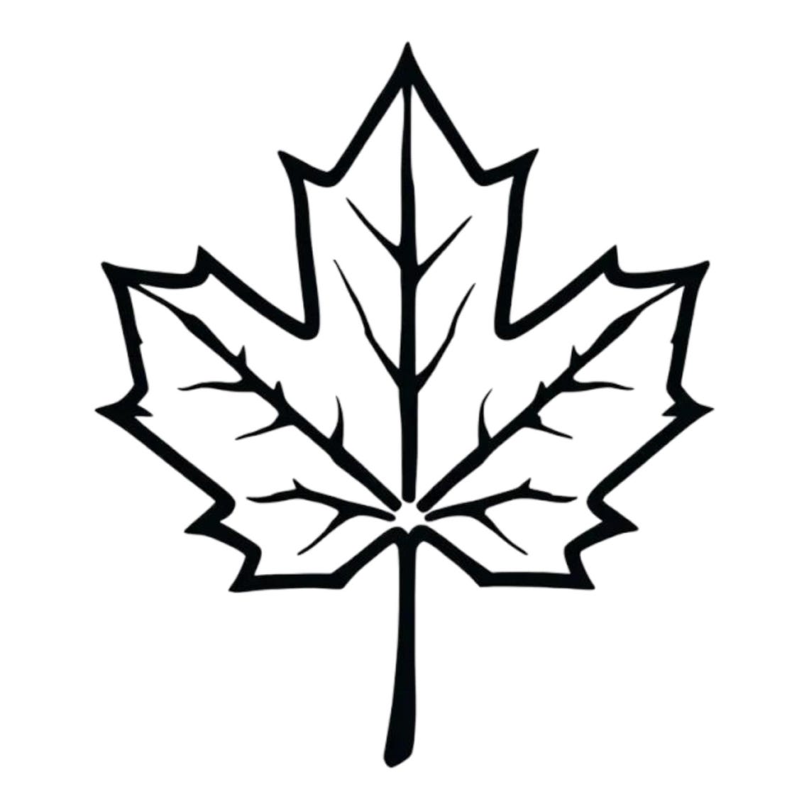 Maple Leaf in Black & White Outline Canada SVG / PNG / JPG Clipart ...