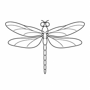 Puede incluir: Un dibujo lineal en blanco y negro de una libélula. La libélula tiene un cuerpo largo y segmentado, alas grandes y detalladas y ojos prominentes. Las alas están extendidas, mostrando sus intrincados patrones.