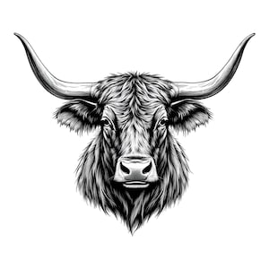 Puede incluir: Dibujo en blanco y negro de la cabeza de un toro con grandes cuernos.