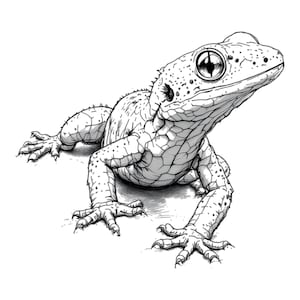 Pode incluir: Ilustração detalhada em preto e branco de um lagarto. O réptil é retratado com pele texturizada, um olho grande e garras afiadas. O lagarto está posicionado em um fundo branco, dando-lhe uma aparência realista.
