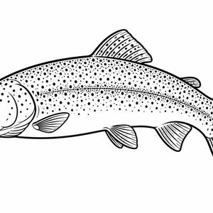 May include: A black and white illustration of a trout. The fish is depicted in profile, showing its spotted body, fins, and tail. The image is a line drawing, ideal for use in design or colouring.