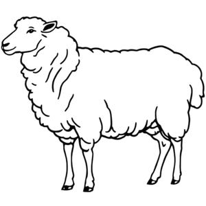May include: A black and white line drawing of a sheep. The sheep is depicted in profile, facing left, with a fluffy wool coat and slender legs. The image is a simple, clean illustration.
