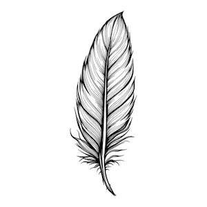 Piuma di uccello in bianco e nero SVG / PNG / JPG Clipart - Uso commerciale gratuito