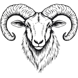 May include: A black and white illustration of a ram's head, with prominent, curved horns. The ram has a detailed coat and a focused expression. The image is a graphic design, suitable for various applications.