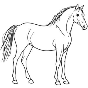 以下が含まれることがあります： 立っている馬の白黒線画。 馬は、その筋肉と形を定義する詳細な線で、流れるようなたてがみと尾を持っています。 馬は右を向いています。