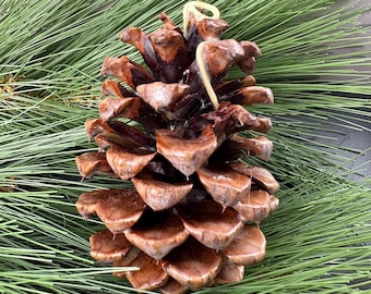 Handmade Pinecone Fire Starter - Paraffin Wax Dipped, Cabin Gift