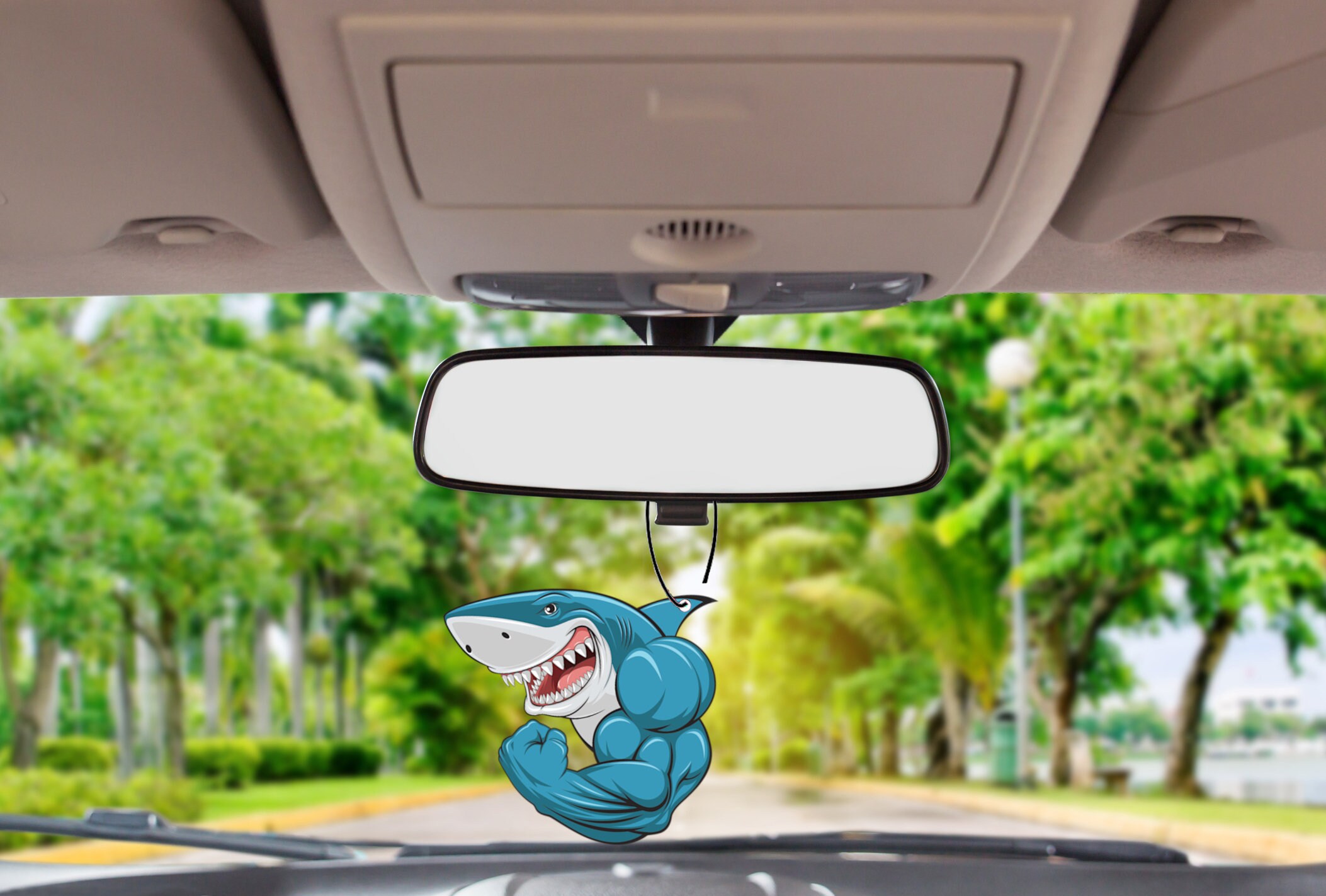 Car Air Fresheners Buff Shark 3 Pack Ocean Breeze Scent Etsy Canada