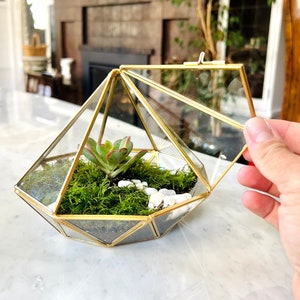 Bioactive Terrarium Kit, DIY terrarium kit with live Moss, sealed terrarium, indoor planter, birthday gift, mothers day gift, stem kit