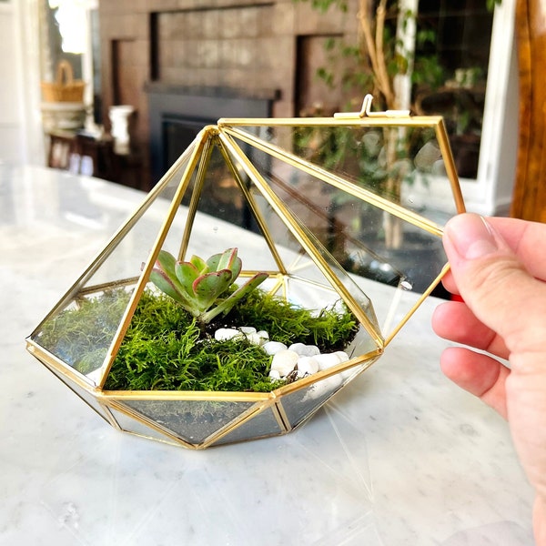 Cute Terrarium Kit, DIY terrarium kit with live Moss, terrarium plant, moss terrarium, indoor planter, birthday gift VIDEO INSTRUCTIONS